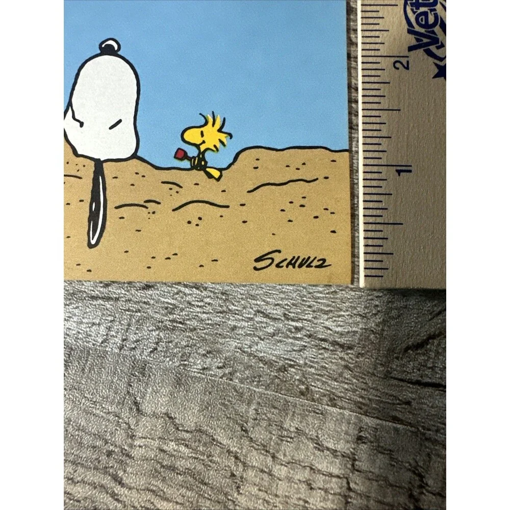 Vintage Hallmark Folding Note Cards Snoopy Woodstock Beach Set Of 10